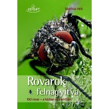 Rovarok felnagyítva