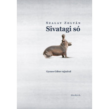 Sivatagi só