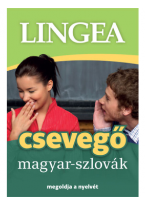 Magyar-szlovák csevegő